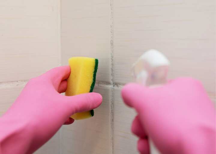 mold company Charlottesville VA