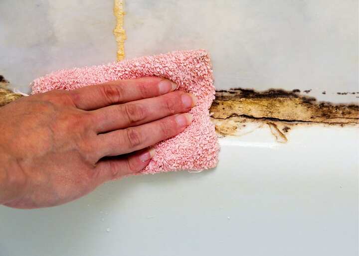 mold remediation Charlottesville