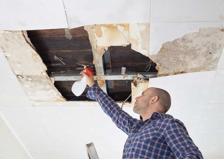 mold removal Charlottesville