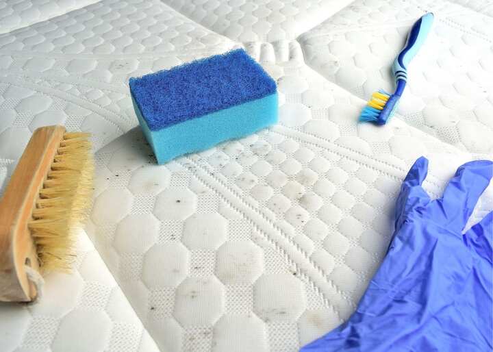 mold testing Charlottesville VA