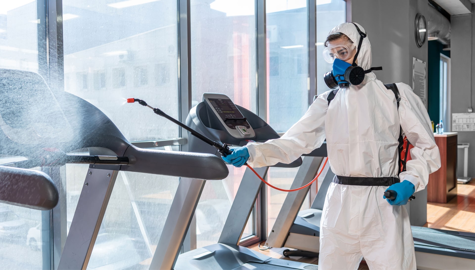 Commercial Mold Removal Services in Charlottesville