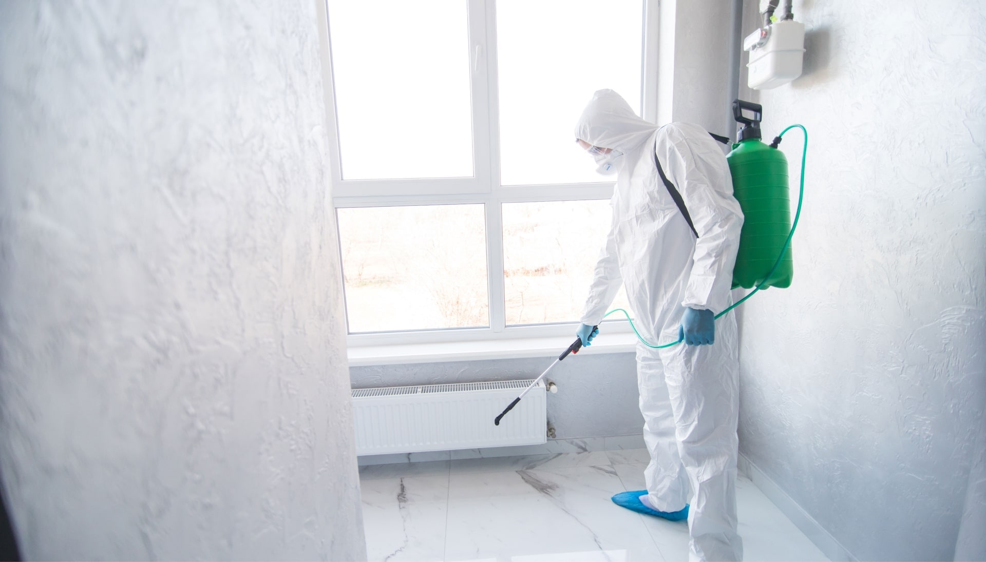 Mold Inspection Services in Charlottesville